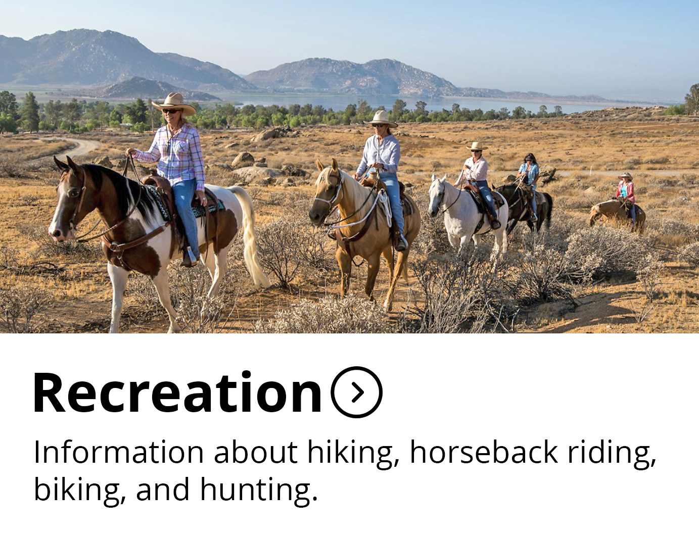 Recreation Button